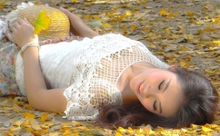 君九龄电视剧免费观看全集完整版